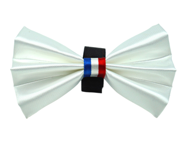 PR3009|Pets Ribbons (Color: White, size: 2")