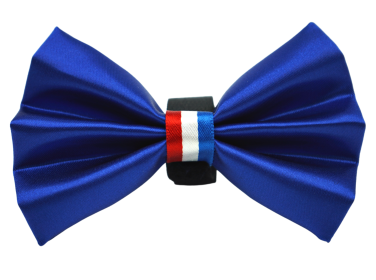 PR3009|Pets Ribbons (Color: Blue, size: 5")