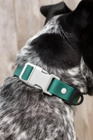 Siberian Spruce Waterproof Dog Collar (size: 17 - 19 inch)