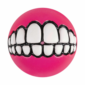 KONG(R) Grinz by ROGZ(R) Dog Fetch Toy Assorted (size: large)