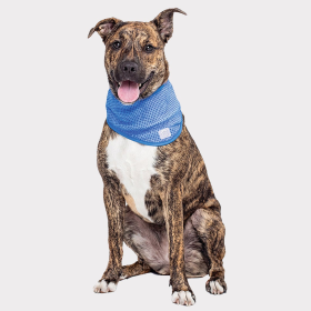 GF Pet  Ice Band (size: XSColorBlack Metal Chain)