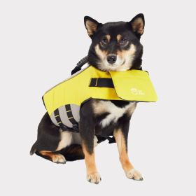 GF Pet Life Vest (size: LargeColorRose Gold Plated Metal Chain)