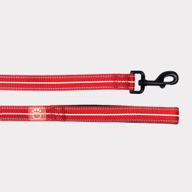 GF Pet  Reflective Leash (size: XS/SmallColorMultineon)