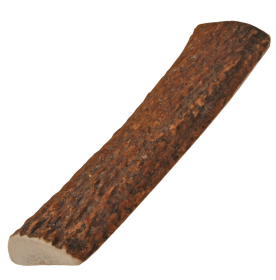Natural Elk Antlers (Type: Whole, size: small)